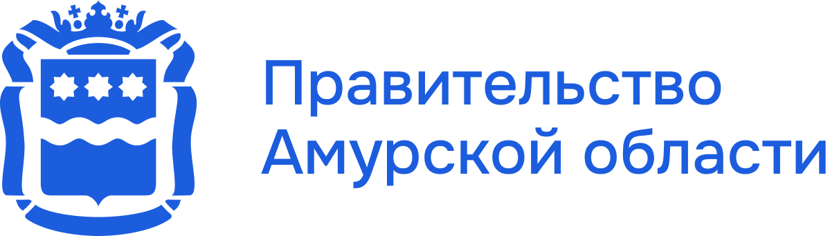 Правительство амурской области